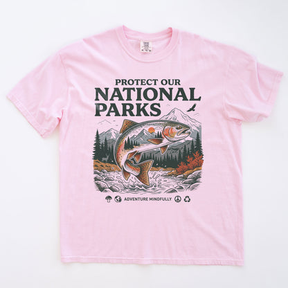 Protect Our National Park T-shirt